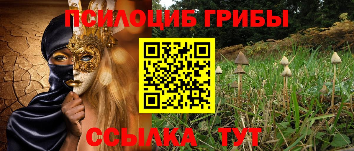 Псилоцибиновые грибы GOLDEN TEACHER Пыть-Ях
