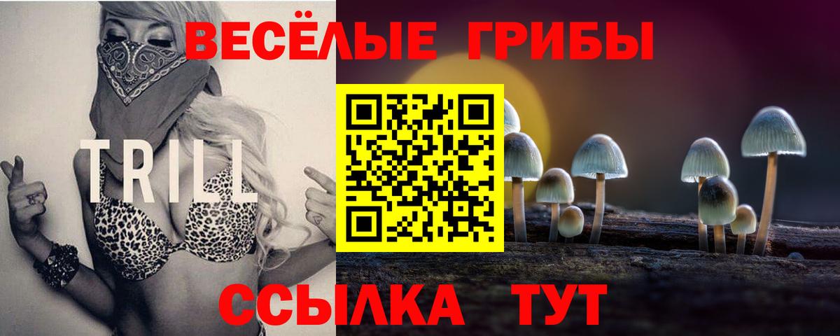 Псилоцибиновые грибы GOLDEN TEACHER  Вход с VPN  Галлюциногенные грибы мухоморы  Пыть-Ях 